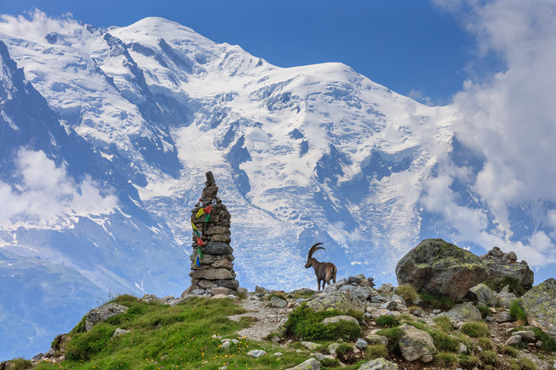 Mont_Blanc-1_800x533.jpg